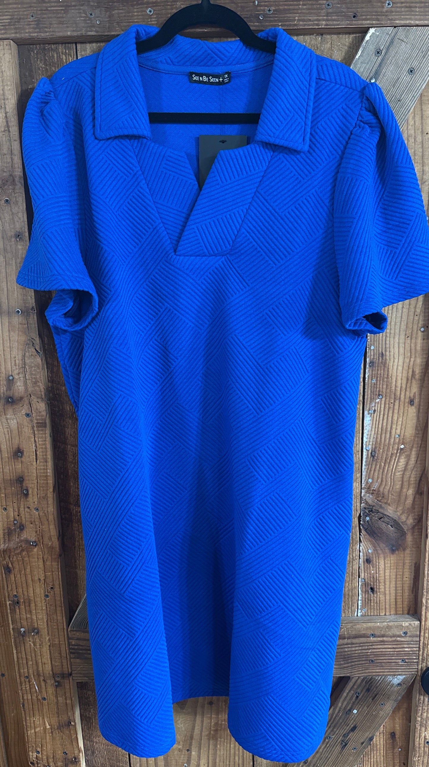 PLUS Blue Dress-1X
