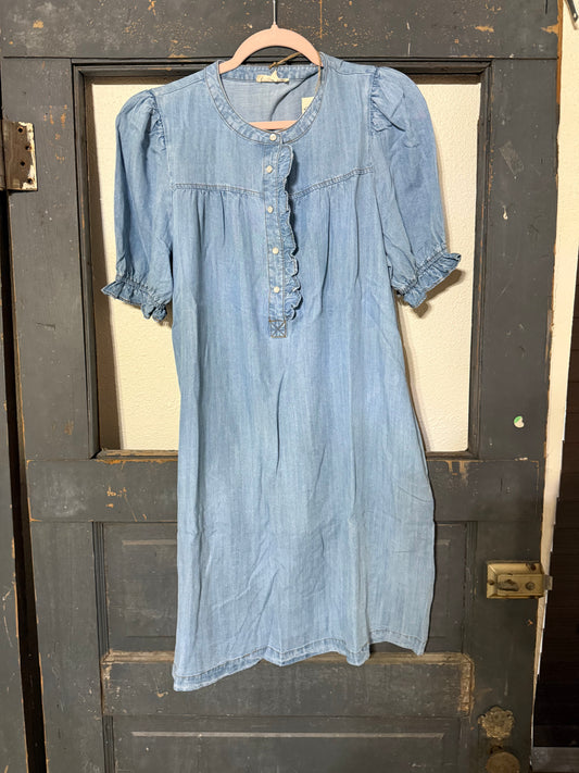 Denim Pearl Snap Dress